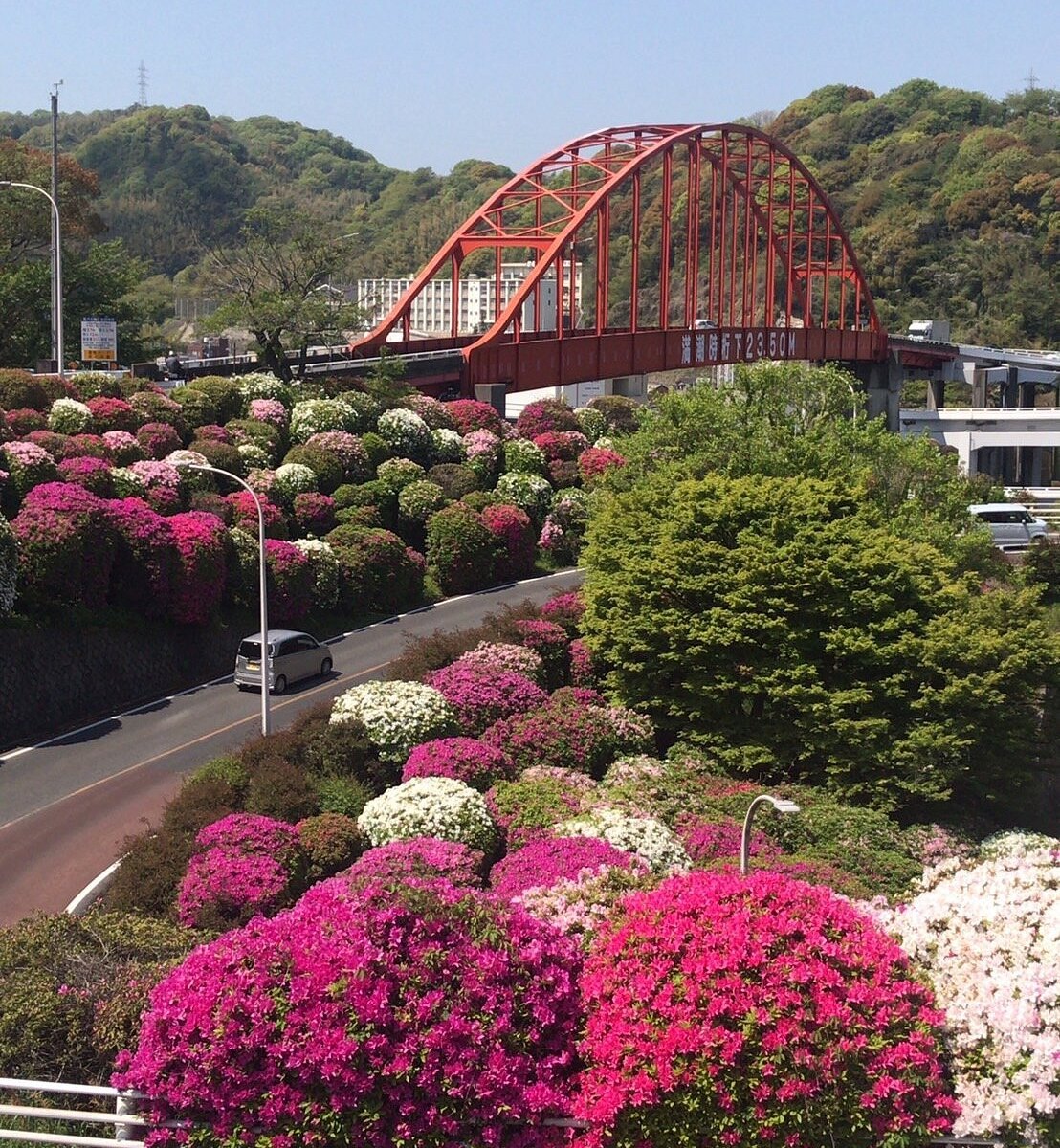 🏞️ 온도의 해협 공원 (온도노세토 코엔) 이미지 6